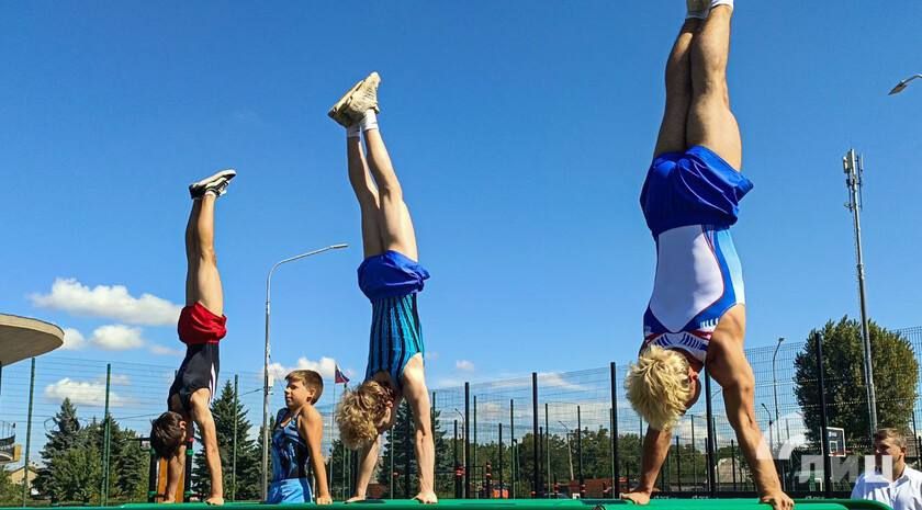 Региональный и муниципальные центры тестирования ГТО будут созданы на территории ЛНР