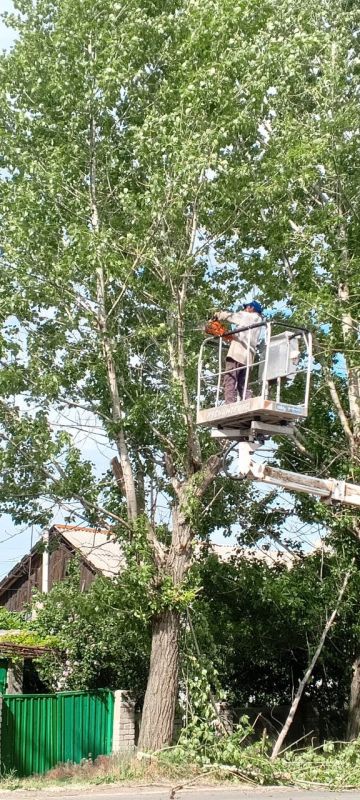 �������� ��������: ������������� � ��������. � �������� ������������ ����� �����, ���� � ������� ��������� ��������, � ����� ������ ����������