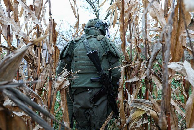 �������: �� ������ �������� ������������ ���������� ����������� �������