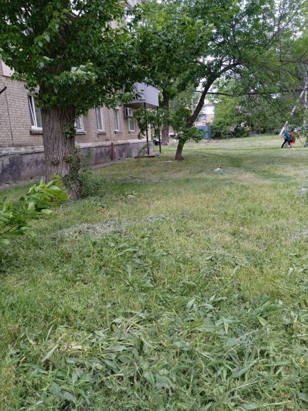 Андрей Рубанцов: На территории городского округа продолжается покос травы на придомовых территориях многоквартирных домов