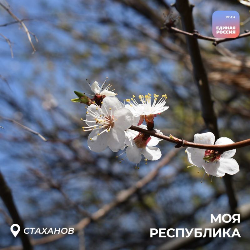 ���������� �������� � ���� ��������� � ����������������������� ����� ������! ��������� ���������� � ������ �� ������
