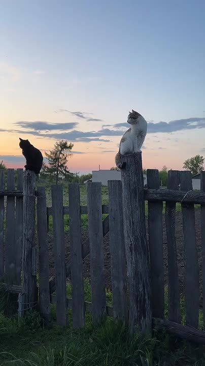 Счастье - это жить сегодняшним днем и радоваться каждой минуте