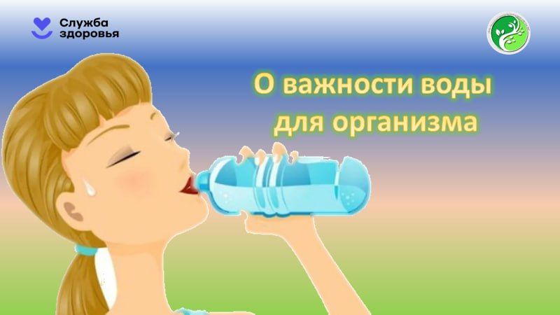 ������������ ������ ���, ������� ����� ��������� � �������� ���� ��� ������ ���������
