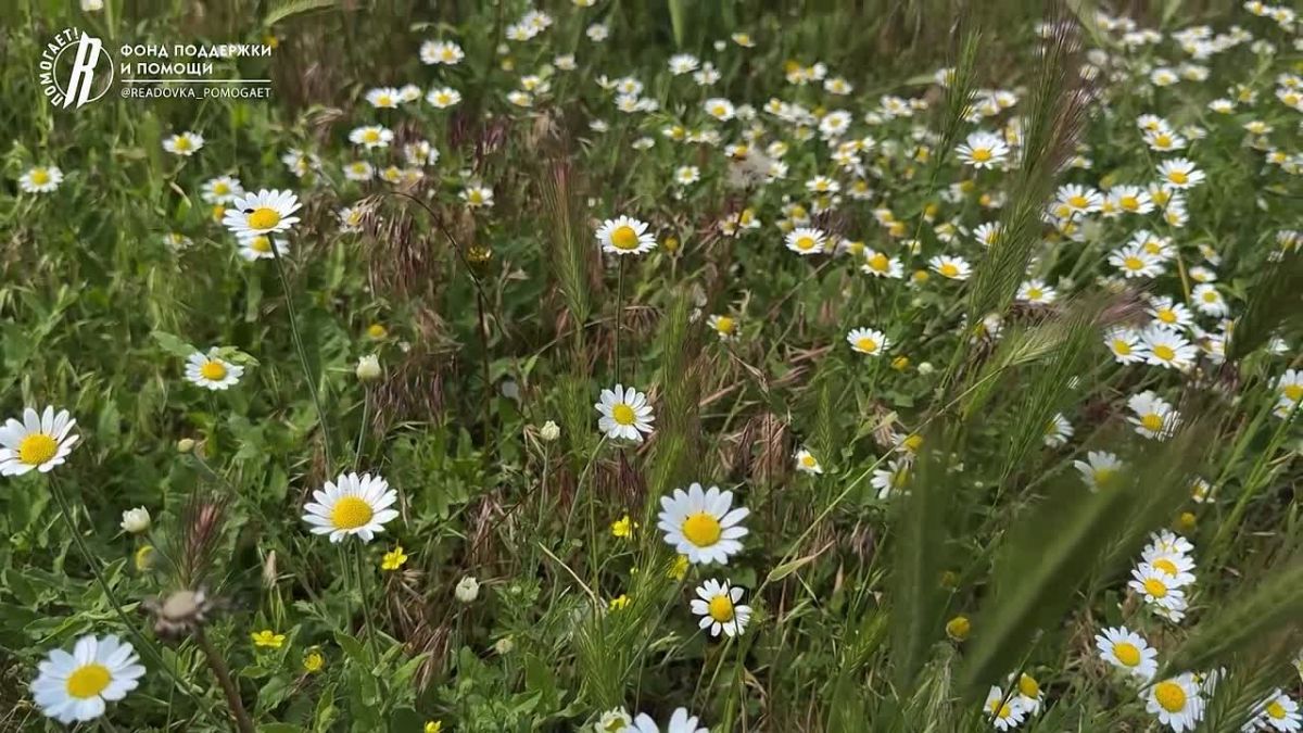 Фонд «Ридовка Помогает!» привез подарок первокласснику из Лисичанска, чей дом сгорел из-за атаки ВСУ