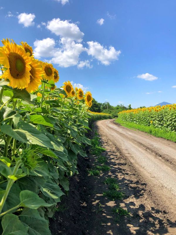 Доброе утро. Счастье - это жить сегодняшним днем и радоваться каждой минуте