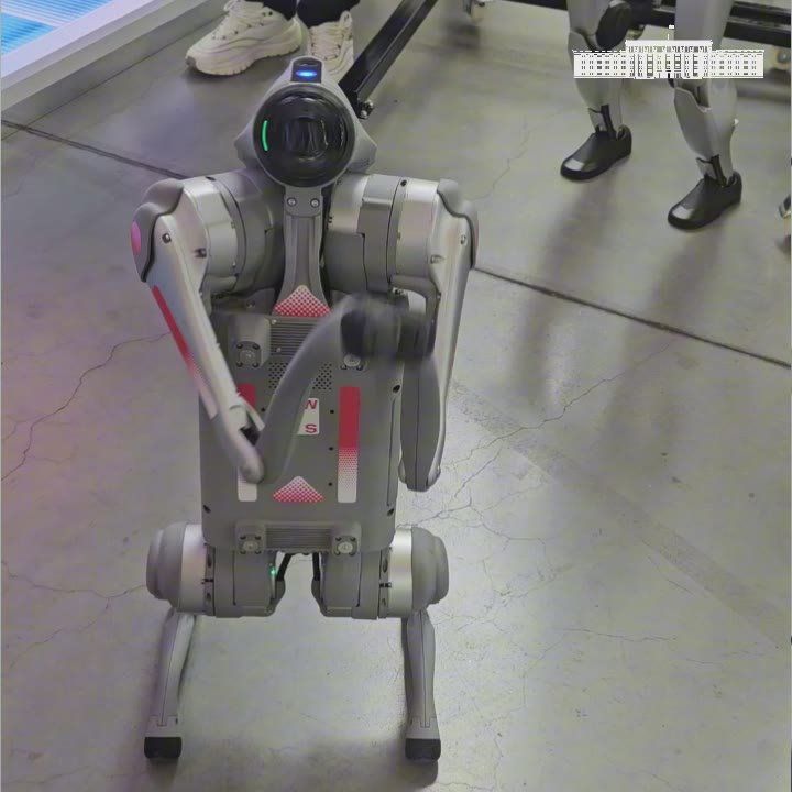 ���� �� �����. ��������� ��������� �������� ���������� ��������� ������� ������� I�-����������� ����� ���� � ����-2025, ������� �������� � ������ ��������� ����� - ��� ������� ������� � �������� ��������� ������, ���...