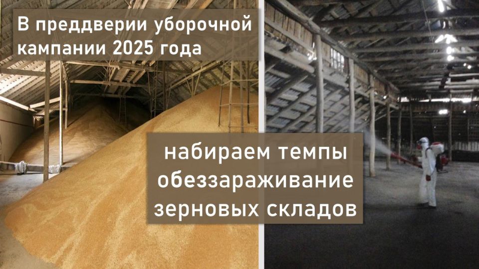 ��� ������� ������ � ������-2025: ������������ 250 000 �
