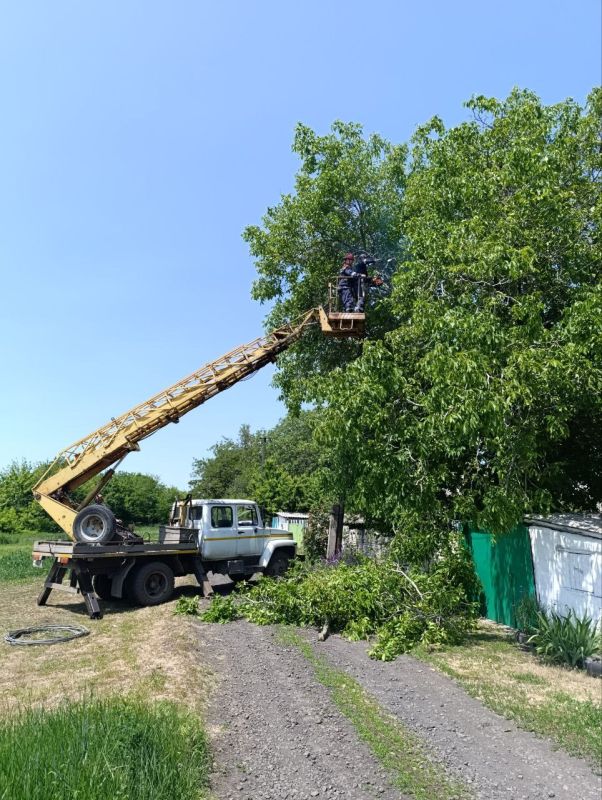 Андрей Рубанцов: Энергетики Ровеньковского РЭС провели обрезку деревьев в пгт Пролетарский