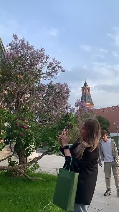 ���� �� ������� ���������������������� ������ � ����� ������� ����������