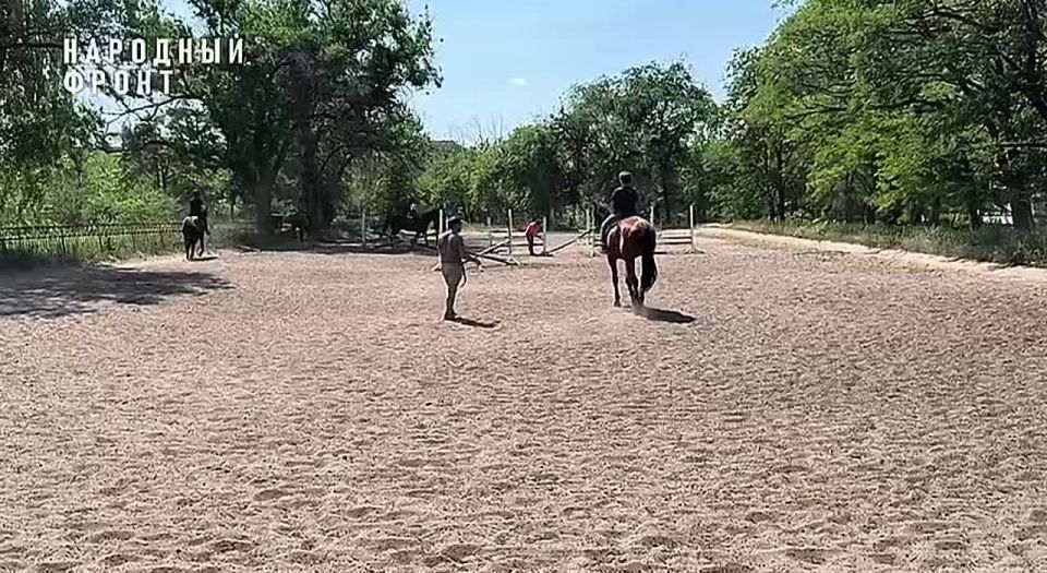 Мечта матери: создать ипподром в память о сыне и помогать детям восстанавливаться
