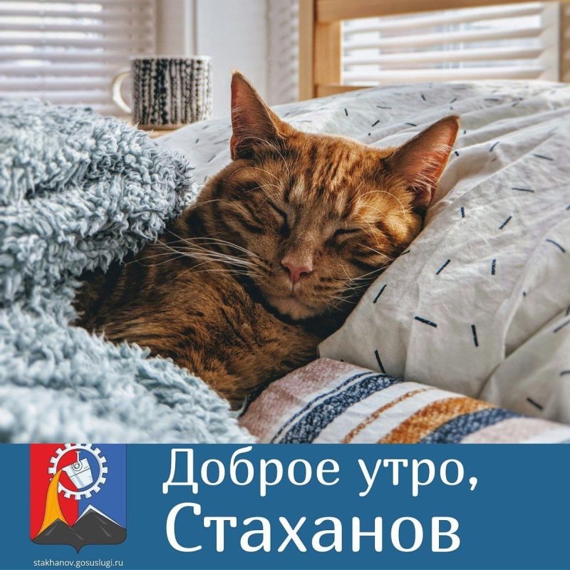 � ������ �����, �����. � ��� ������� �������: ������� ��� ��� ��������! ������ � ��������� ������� ���� ��������