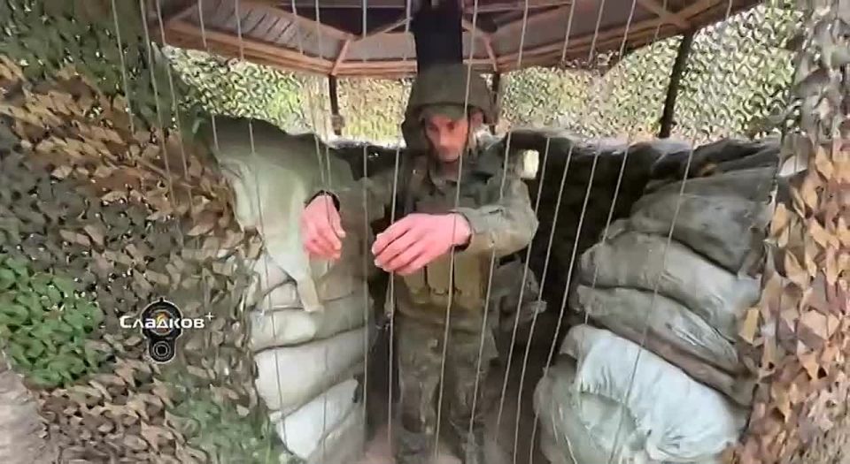  :       :           ,       ?