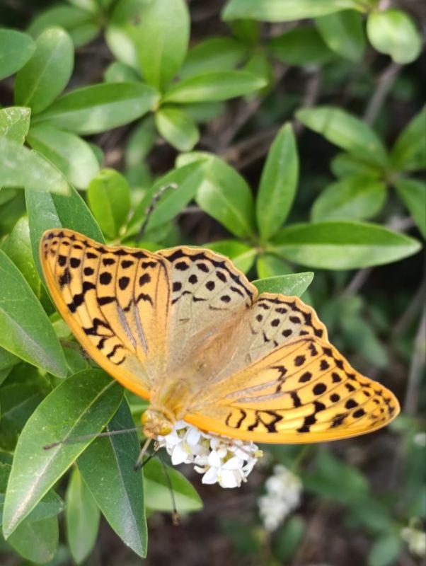 Сегодня мы хотим показать вам о живописных местах нашего города Рубежное