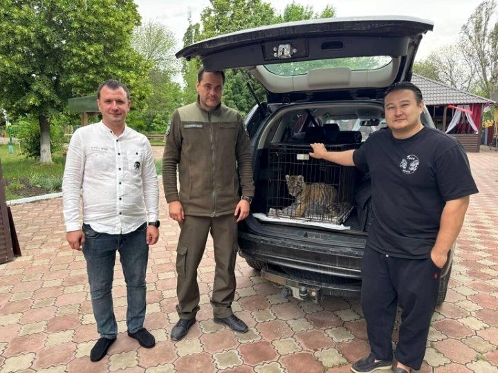 ������������� �������� �������� ������� �� ��������� ���������� � ������������������ �����������