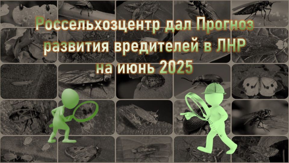 ������� �������������� ���������� � ��� �� ���� 2025 �� ����������������