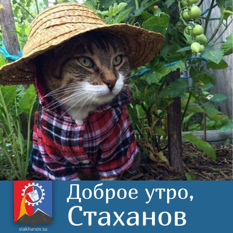 Доброе утро, Стаханов!. Сегодня — День фермера