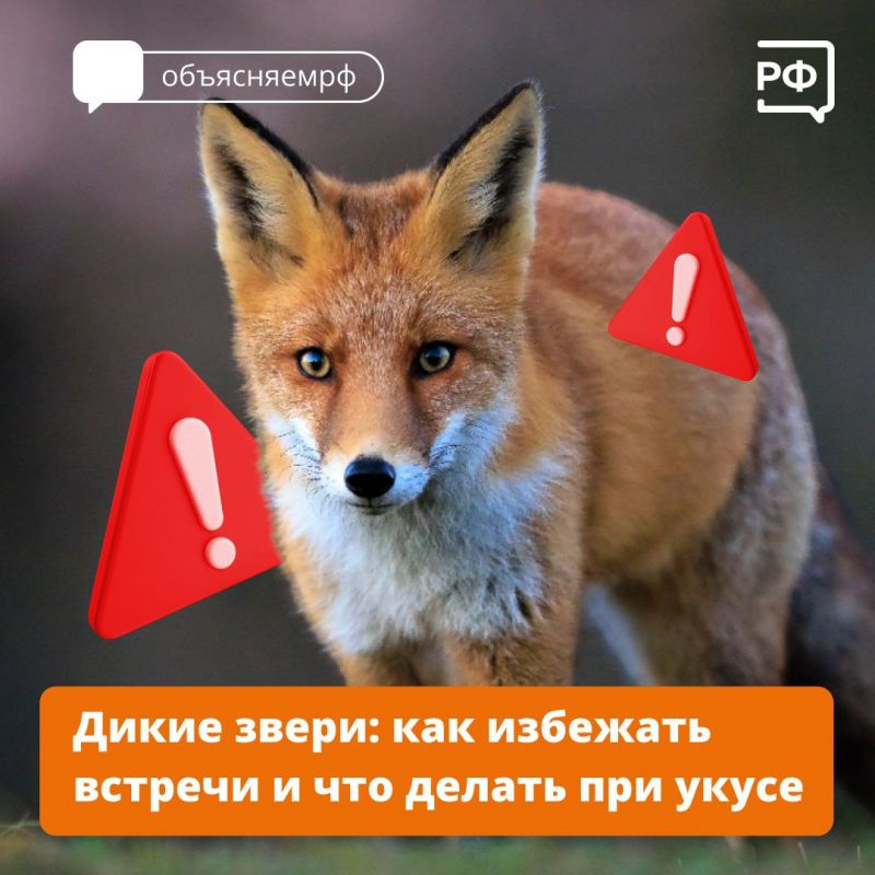 ����� �������� ����� �������� �� ����� ��� �������