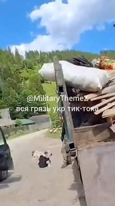 Жители Закарпатья придумали оригинальный способ вывоза Тарасов из 404-й