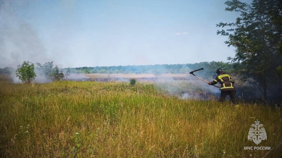 ГУ МЧС России по ЛНР обращает внимание граждан: в Республике закрепилась устойчиво засушливая погода, введен особый противопожарный режим!