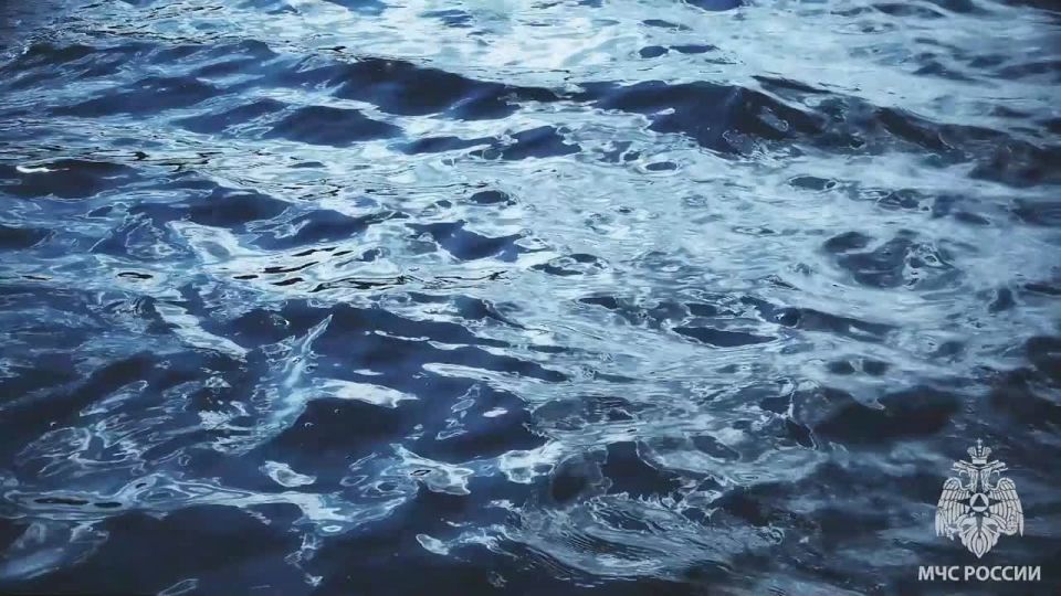 Безопасность детей на воде в летний период - это один из наиболее важных вопросов