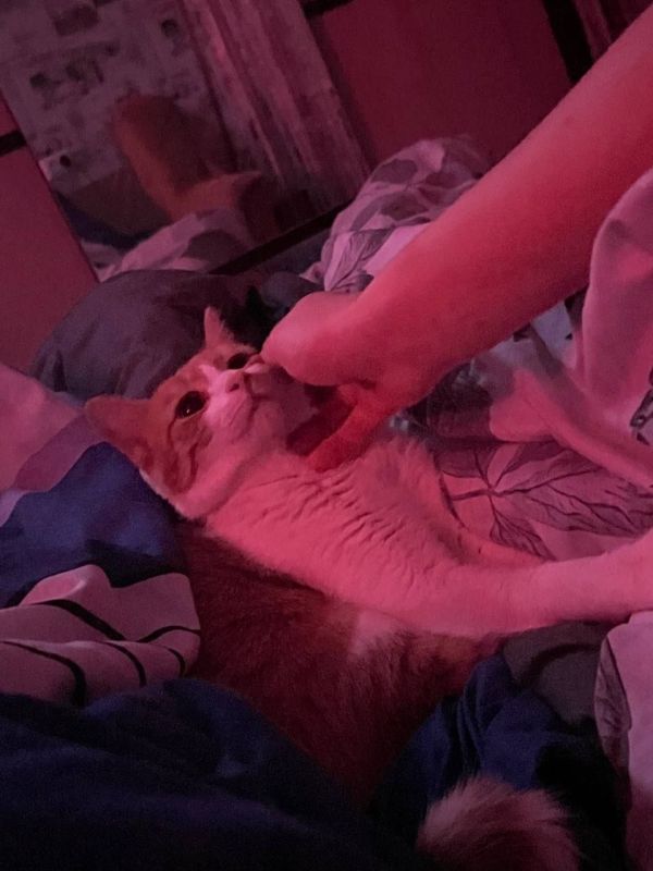 12 июня на территории Луганской Народной Республики прогнозируется переменная облачность