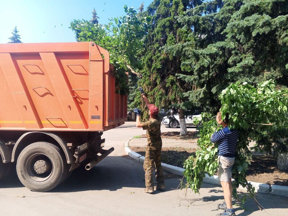 В рамках заключённого контракта с подрядной организацией на улице Ленина проводятся работы по вырубке самосевной поросли