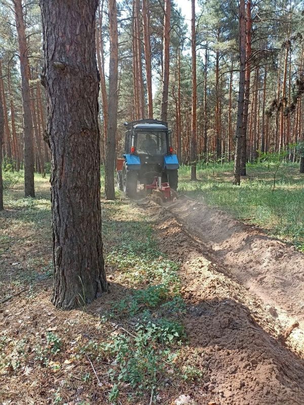 С наступлением пожароопасного сезона лесоохотничьи хозяйства Республики провели устройство и прочистку более 3,8 тыс