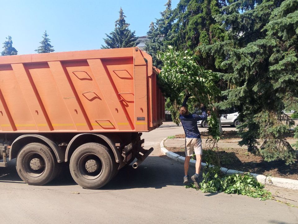 Андрей Рубанцов: В рамках заключённого контракта с подрядной организацией на улице Ленина проводятся работы по вырубке самосевной поросли деревьев