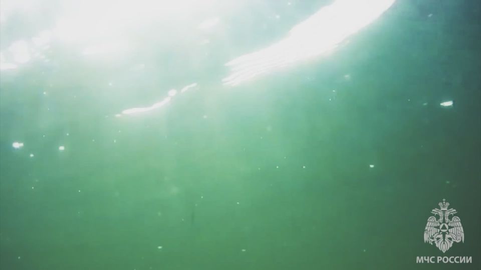 ������������ ����� �� ���� � ������ ������ - ��� ���� �� �������� ������ ��������
