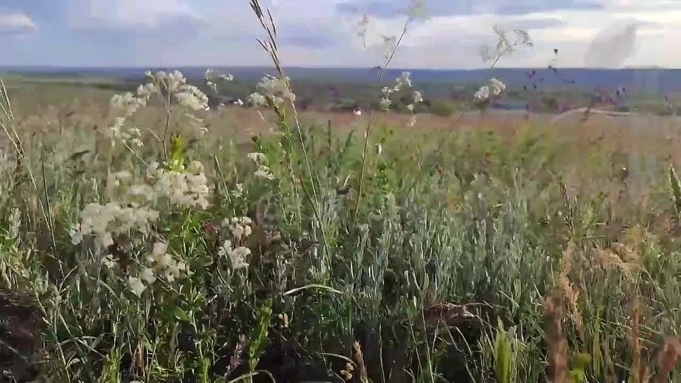 � �� �����, ��� ������ �������� ����� 17,1 ��� ��. �� �����? ��� ������ �� ���������� ������������ �� �������