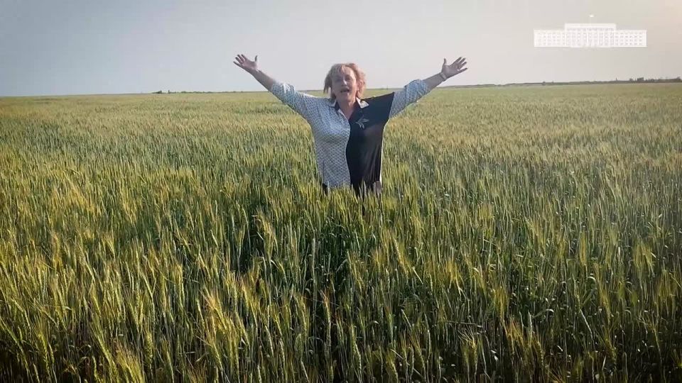 ������ - ��� ����, ������� � �������