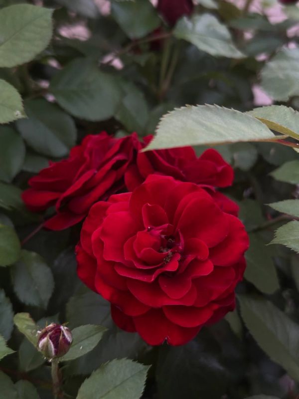 С добрым утром, жители Марковского муниципального округа!