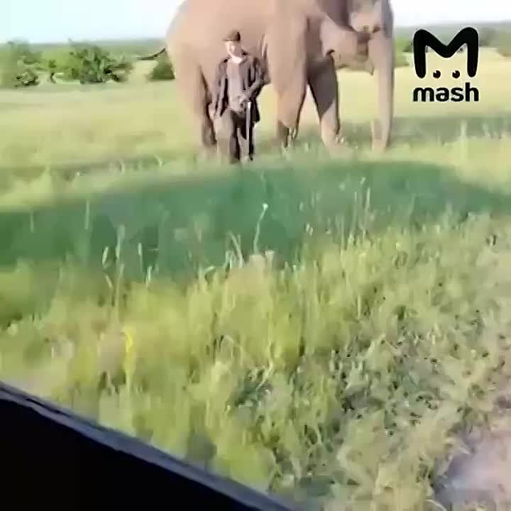 ������� ���� �� ������ ������� � ����������� �������