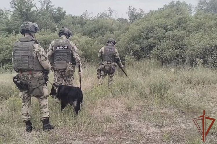 В ЛНР росгвардейцы обнаружили схрон с оружием и боеприпасами