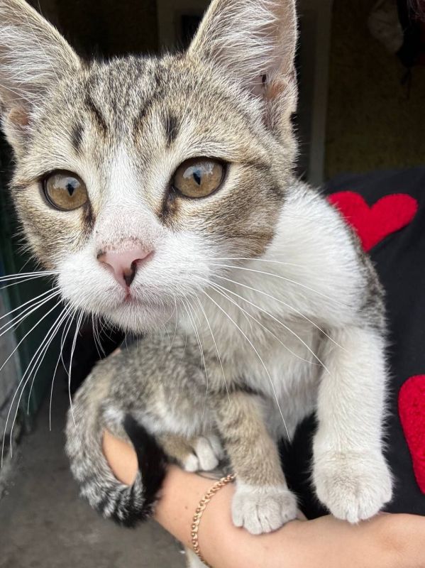 18 июня на территории Луганской Народной Республики прогнозируется переменная облачность