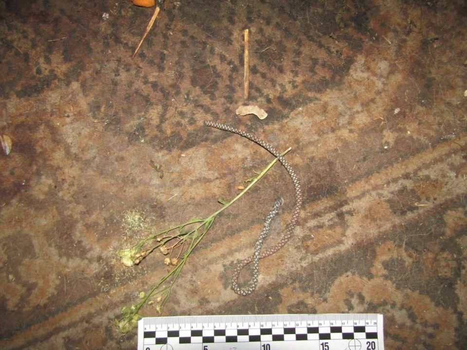 39- летняя жительница г. Антрацита осуждена за убийство 74-летней пенсионерки