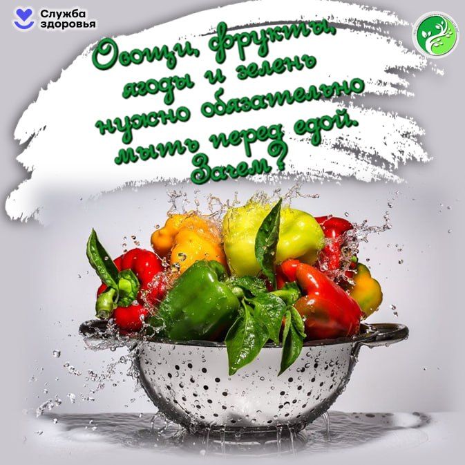 �����, ������, ����� � ������ � ��� �� ������ ������� � �������� ��������, �� � ������ ����� ��������� �������