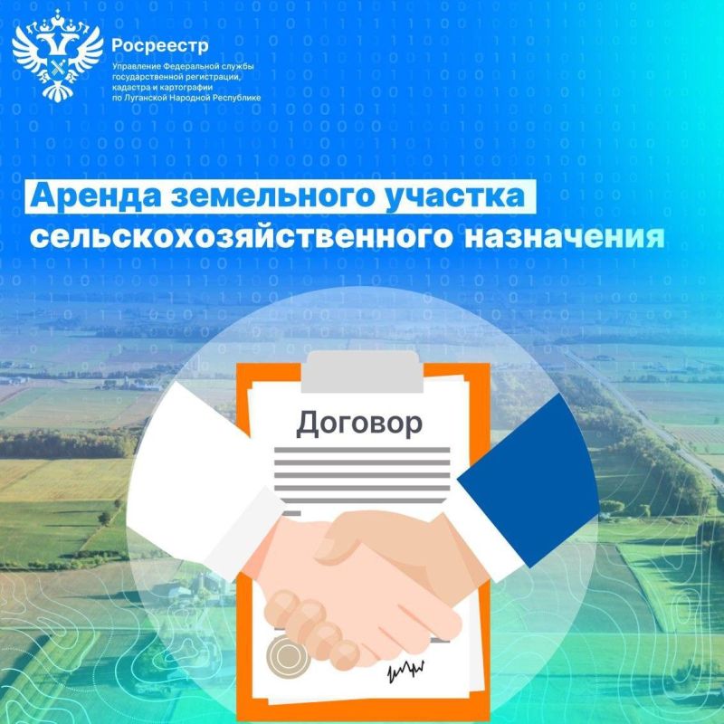 ������ ������ �����������������: �������� ���������� ���������� ���