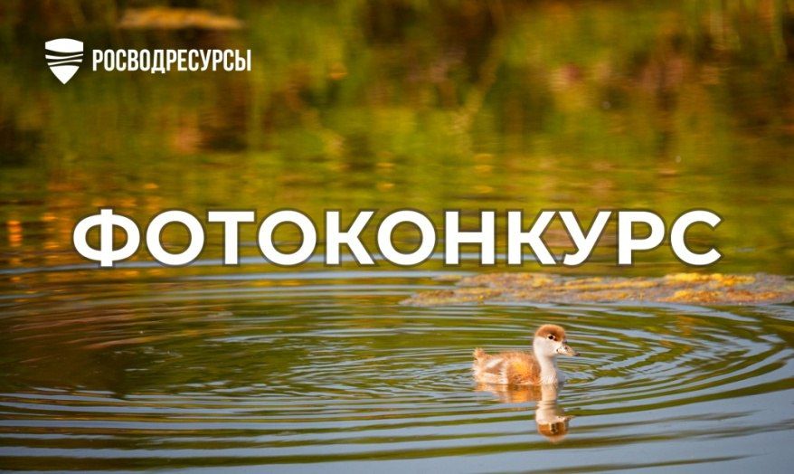 ������ ����� ������ �� ������� �� ������ ������������� ������������ �������������� ������� ��������� ������ (����) � 2025�