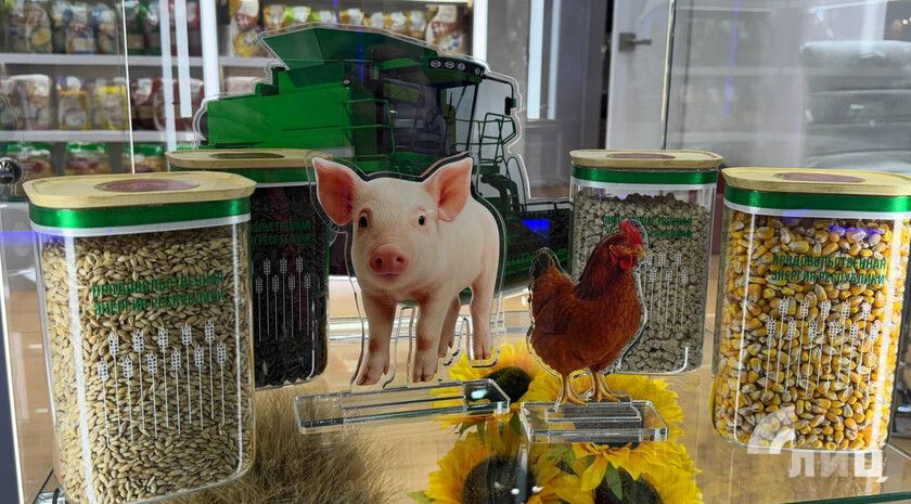 «Агросфера» построит в ЛНР два свинокомплекса и фабрику товарного яйца