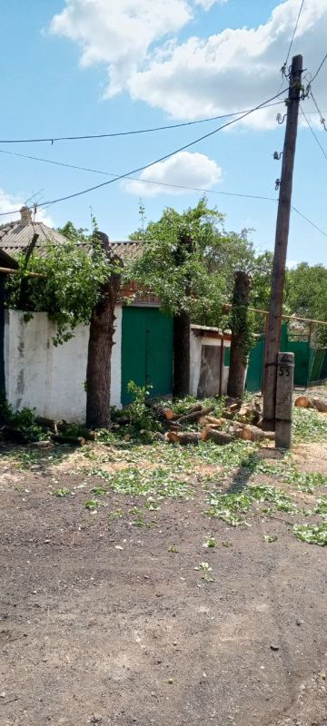 �������� ��������: ������������� � ��������. � �������� ������������ ����� �����, ������ ���������� ���������� ������, � ����� ���� � ������� ��������� ��������