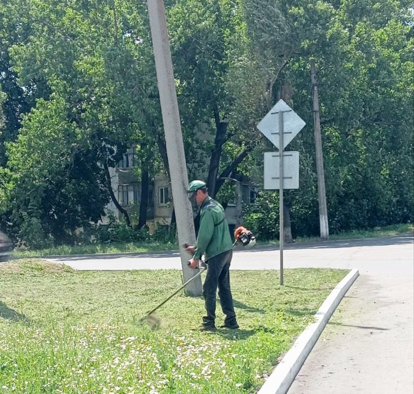 Силами МУП "Антрацитовское зеленое хозяйство" ежедневно выполняются работы по спилу и омоложению зеленых насаждений, покосу травы на газонах, подметанию дорожек и очистке плитки от травы, а также прополке и рыхлению сорняков...