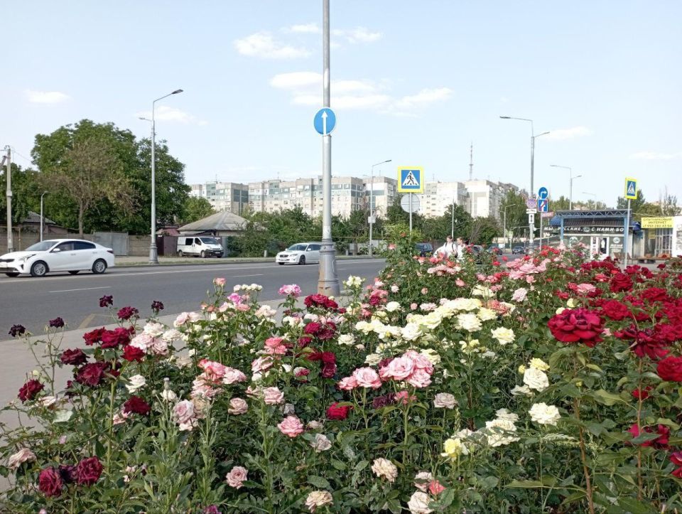 � ���� ���� ������� �������� ����� 25 ���