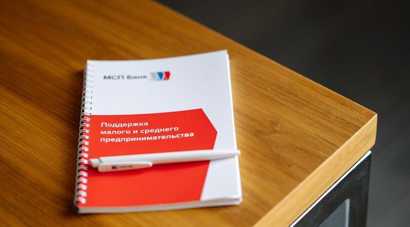 Исаевич: Почти 90% предпринимателей Донбасса и Новороссии — индивидуальные