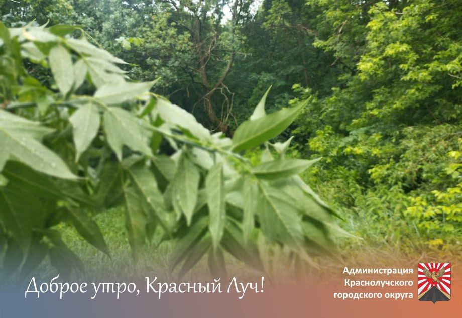 Доброе утро, краснолучане!