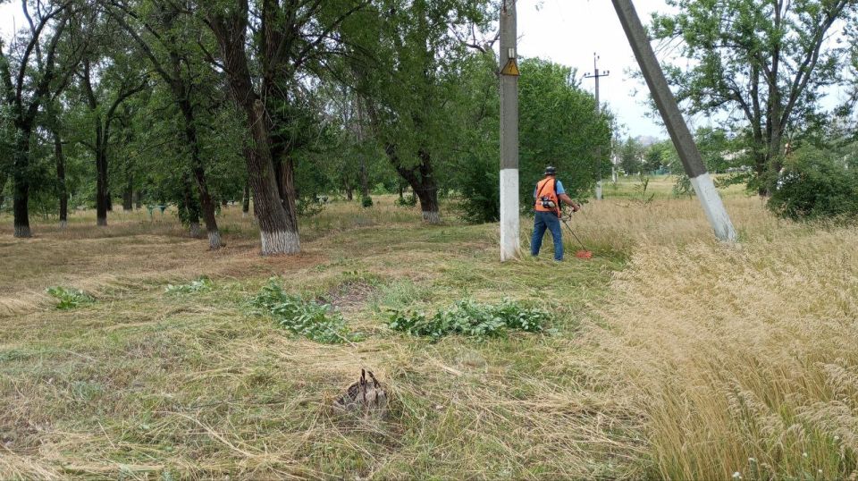 �������� ��������: ������������� � ��������. � �������� ������������ ����� �����, ������ ���������� ���������� ������, � ����� ���� � ������� ��������� ��������