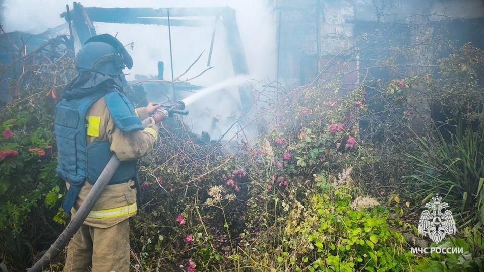 В Лисичанске спасатели защитили от сухотравного пожара жилые дома