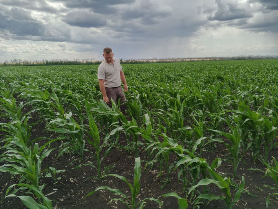 �������� ������: � ������������� ������������� ������ ���������� ���������� ������� ��������