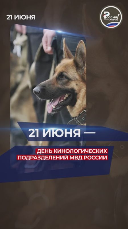 ������� ���������� �������� �������� ���� ���������������� �������� � ���� �������������� ������ ���