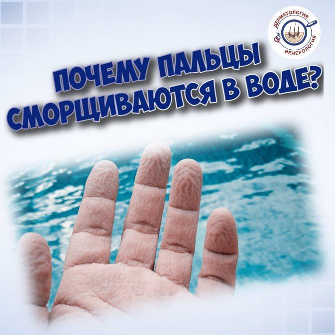 ������ ������������ � ����: ������������ ������� ������ ������������������ ��������